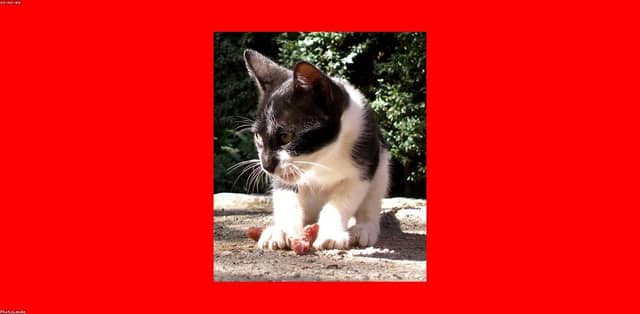 6wqItjWl